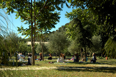 seminari yoga in Liguria